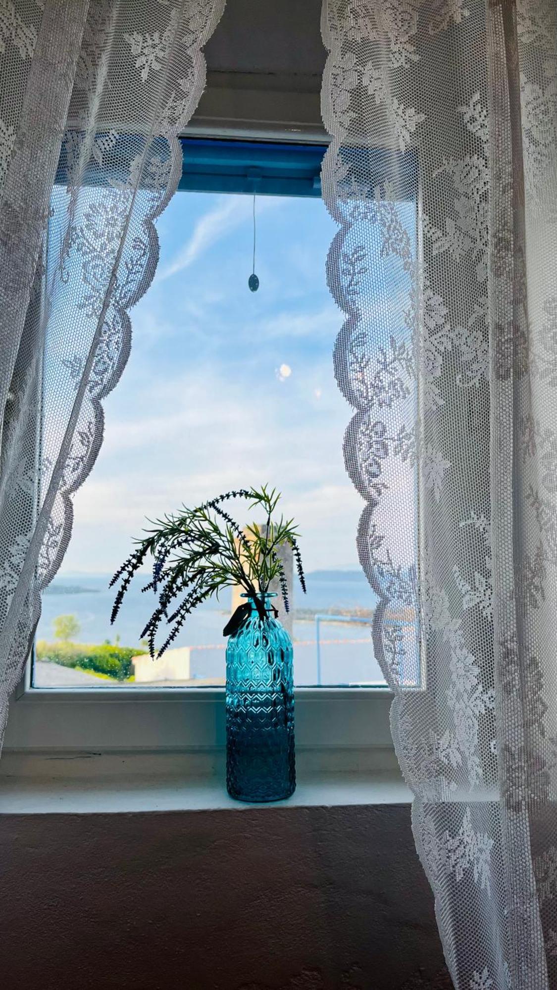 Olivier House Villa Zaglav Eksteriør bilde